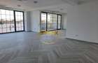 Iancu Nicolae Jolie Ville, bloc boutique, 157mp, living 92mp, 3 bai, 2 garaje - 3