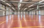 Hala pentru productie sau depozitare de inchiriat, Oradea - 2