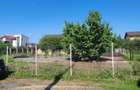 Vanzare teren 940 mp. in Orasul Pantelimon. - 2