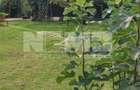 Casă/Vila + Teren 13 Ari de Vânzare |Lisaura/Suceava I 280.000 Euro - 30