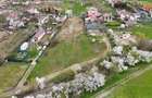 DOM00452 - Teren Snagov 3560 toate utilitatile acces asfalt (se poate parcela) - 4