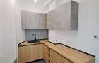 Constantin Brancusi, 210 mp utili, Ultramodern!