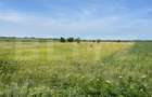 Teren extravilan, 4.994 mp, Targoviste - 5