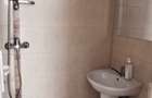 Apartament 1 camera Pet Friendly Calea Motilor - 8