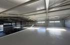 Hale noi / 1.433 mp / curte betonata // Baneasa - 28