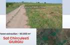 Teren extravilan -  60.000 m² - Sat Chirculesti - 7