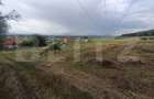 Teren 3.600 mp, ideal pentru livadă, cabană sau investiție în Podu Olt - 2