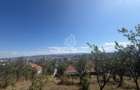 Teren intravilan cu Panorama - 850 mp - cu Autorizatie de Constructie - 4