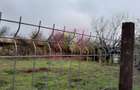 ILFOV - SE VINDE CASA IN ISLAZ / COM. BRANESTI - 38