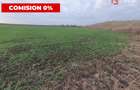 Comision 0% Teren extravilan agricol 21,32 ha sau intravilan cu PUZ aprobat - 13