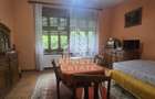 Proprietate cu potential turistic in Gurahont - 20