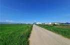 Teren Sibiu - Calea Surii Mari - 4500 mp
