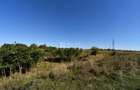 Teren 10.000mp plan, 350m altitudine | Barnova-Paun | POT 35%, CUT 0.9