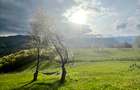 Teren 110.000 mp. in satul Pestera, comuna Moieciu - 6