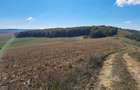 Teren agricol de vanzare  - 5