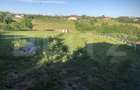 Casa/Vila de vanzare / posibil  Pensiune ,cu view și pădure la colțul străzii - 12