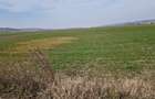 Teren intravilan de vânzare – 3300 mp, Leșile - 2