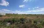 Terenuri in Sacalaz | Investitie | Spatiu comercial | Zona excelenta |
