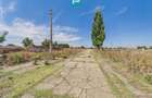 Teren intravilan 146.866 mp | Jimbolia - 14