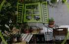 Apartament cochet cu 3 camere la curte comuna - 8
