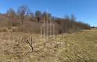 Teren EXTRAVILAN de vânzare în Săcel - 6