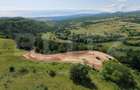 Teren de vanzare, 3710 mp, zona Agarbiciu - 3