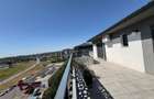 Penthouse Dobroiesti - 31