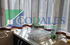 Zona Aradului | 3 camere | Etaj 2 | Decomandat - 5