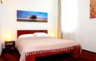 Vanzare apartament 2 camere, Parcul Cismigiu, Luigi Cazzavillan - 8
