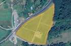 Plantatie Afini - Teren-27.211mp+ Constructii-370 mp,Lapugiu de Jos - 3