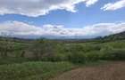 Teren extravilan arabil - Sibiu - Gusterland - 6