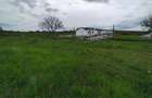 Teren constructie P+M, Sura Mare- Hamba, 717mp, utilitati - 1