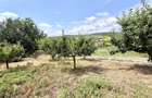 Vilă de Vânzare în Rediu (Aroneanu) – 350 mp Construiți 5 - 5