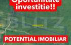 Teren extravilan 15000mp Giroc– oportunitate investiție - 1
