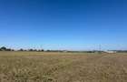 Exclusiv ! TUZLA - teren 10.000 mp cu deschidere 37 mp (Cod E8) - 12