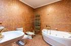 Casa/Vila Premium de vanzare Lacul Snagov / ponton / piscina / barca - 31