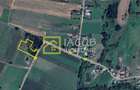 Teren intravilan, sat Petricica, comuna Strugari, Bacau - 2
