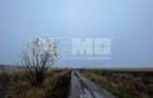 TEREN EXTRAVILAN | DOUA PARCELE SEPARATE | 70 ARI | CALAFINDESTI - 7