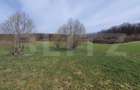 Teren de vanzare extravilan, 1ha, drumul Sigmirului - 3
