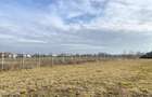 Afumati - Str. Iasomiei, 2409 MP, stradal, intravilan, deschidere 12 m - 6