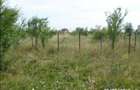 Teren intravilan , Clinceni - 1