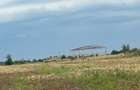 Vanzare Teren Extravilan 20.113 mp Otopeni Odai deschidere la 2 strazi, - 5