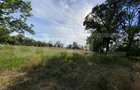 Teren intravilan, 9100 mp, potential dezvoltare imobiliara, zona Dragsina - 2