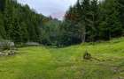 Teren intravilan 4331mp | Arieșeni | Oportunitate de Investiție - 1