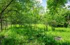Casă locuibilă în Dărmănești — 50.000 € - 5