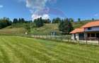 Teren 1,308mp Vama Buzaului / Strada Principala - 1