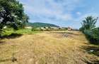 Proprietate cu gospodărie completă - teren 4300 mp – loc. Seica Mare - 15