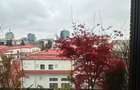 Premium penthouse for rent- Primaverii-4rooms - 12