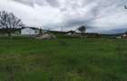 Teren constructie P+M, Sura Mare- Hamba, 717mp, utilitati - 3
