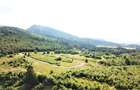Parcele de vis cu utilități și panoramă impresionantă! - 5